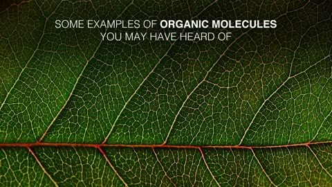 what-you-need-to-know-about-organic-molecules