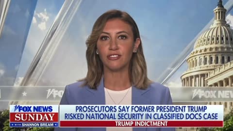 Alina Habba: President Trump Will NOT Take a Plea Deal