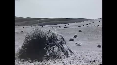 To Till a Field: Man and Machine in the Palouse