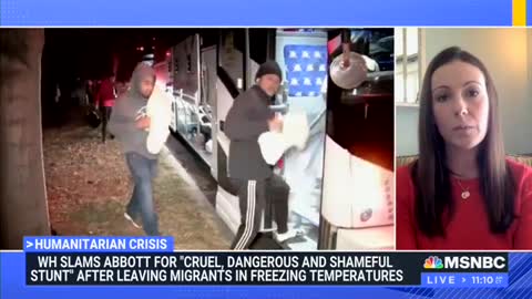 'Why Is Title 42 Still Around?': MSNBC Guest Slams Border Enforcement As 'Shameful'