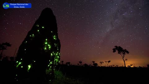 Places in Goiás that will leave you impressed, Brazil