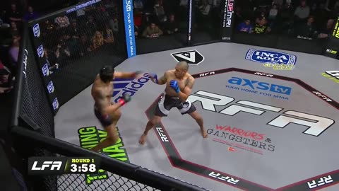 UFC very nice fight