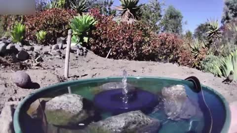 Camera Captures All Walks Of Life Drinking From Water Fountain