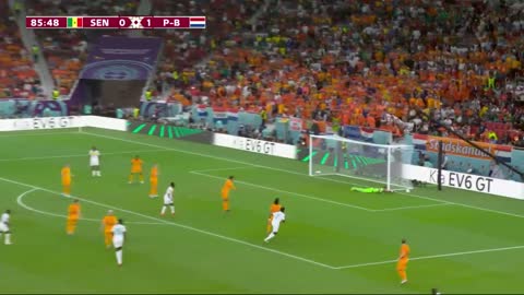 Senegal vs Netherlands goals and highlights