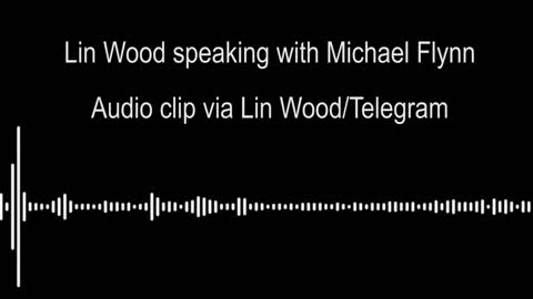 LIN WOOD AND MICHAEL FLYNN CALL ABOUT Q