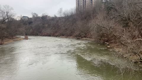 Humber River flows March 5th Toronto