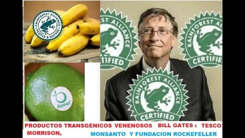 productos transgenicos venenosos de bill gates