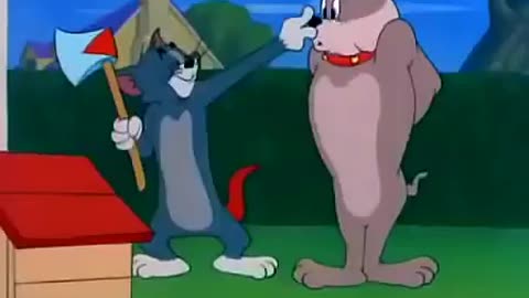 Funny Tom and Jerry cartoon videos, cartoon funny Video, kid's cartoon funny Video,