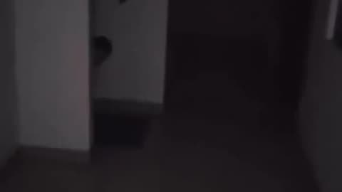 Real ghost caught in camera