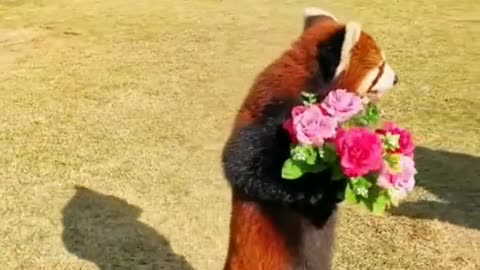 Happy Valentine's Day, honey! Fyp fyp trending cute re...