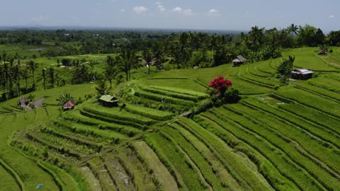 Beautiful Bali