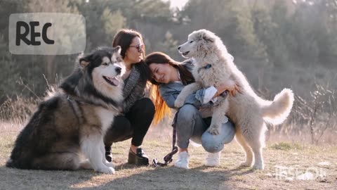 Very amazing pets loking gorgeous 😍🥰