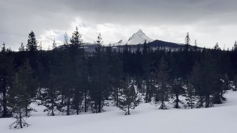 Descending STEEP Butte & Arriving at Brandenberg Shelter! – Ray Benson Sno-Park – Central Oregon – 4K