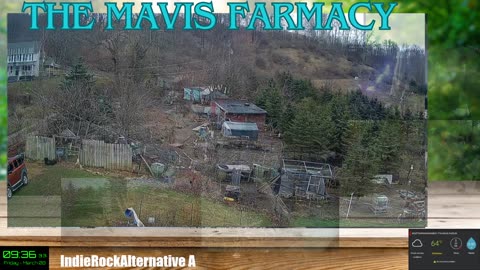 Life on Doc's Farm : Mavis Institute 🎵 🐓🦆🐝🐇🐖: Farmcore