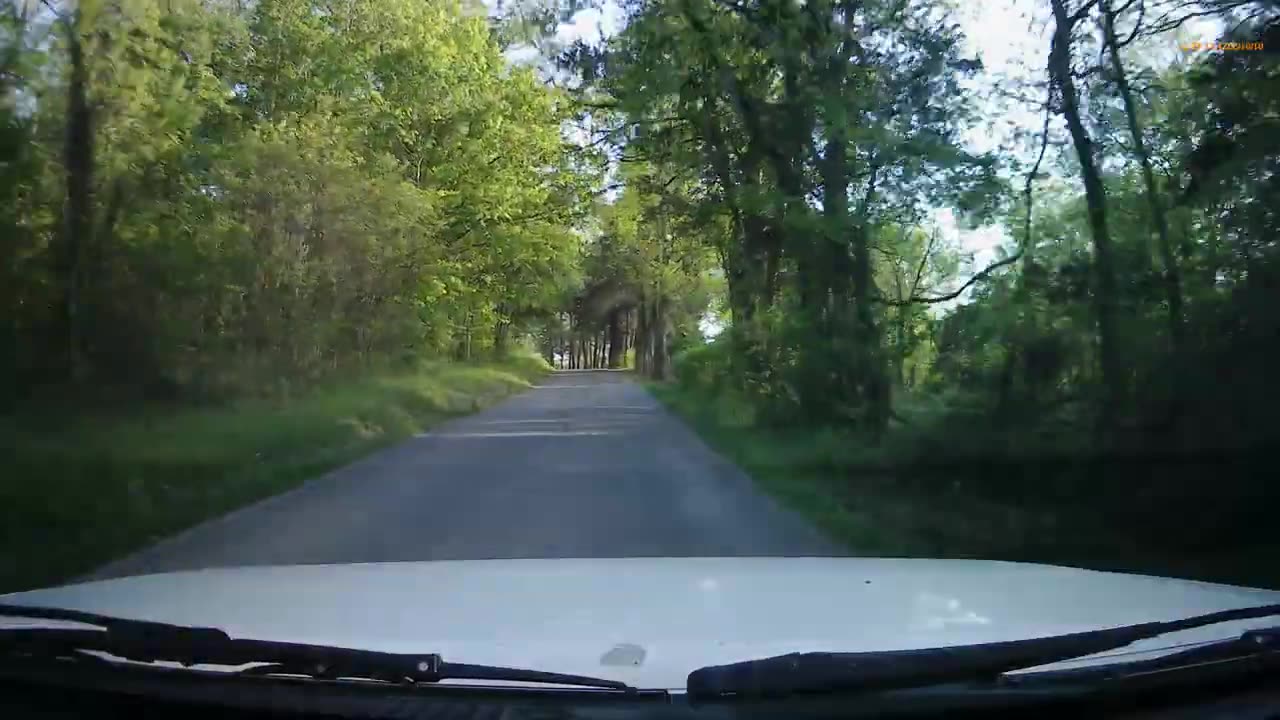 Back Road Trippin #16 Bedford co TN Bugscuffle Adventure 4 18 23