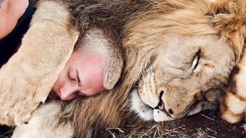 Dean Schneider living & playing with lions.