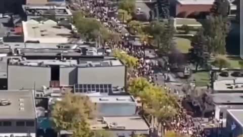 Alberta Canada Vaccine Mandate Protest