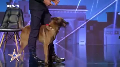 DOG! TALENTED Romania's Got Talent