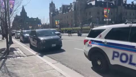 Police cars lined up on Wellington street during peaceful demonstration