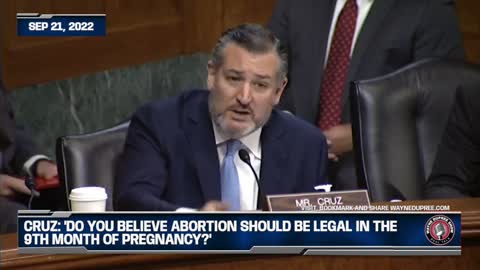 'Do You Believe Abortion Should Be Legal In The 9th Month Of Pregnancy?'