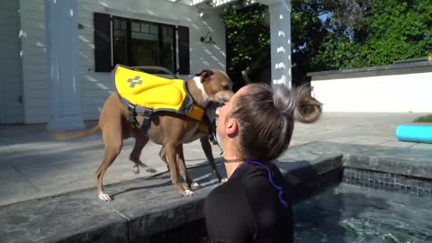 Girl teaches dog how to swim!