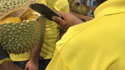 Open durian live