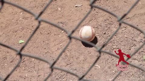 Amazing 3-year old Baseball player.