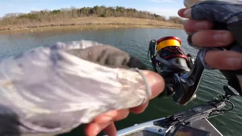 Fishing for Big Crappie with Swimbaits