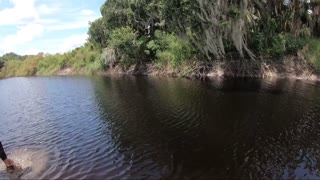 Jet Skiing Through Gator Country