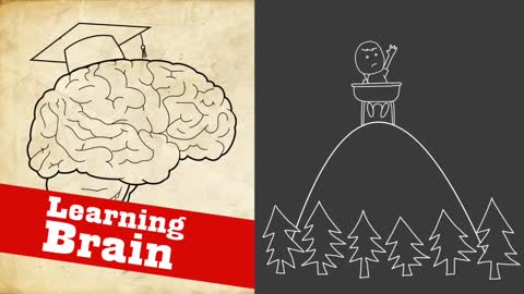 Learning Brain vs Survival Brain