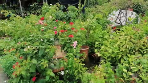 Flower planting nursery