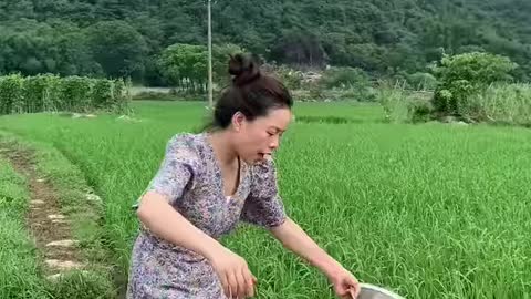 Interesting and Best Asian Fishing