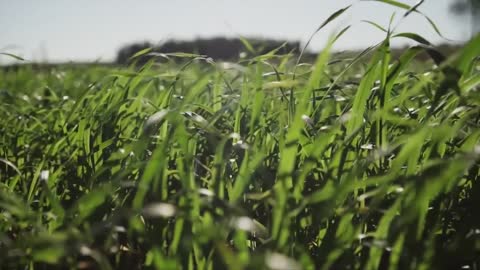 Uruguay_ Feel Nature (1 min)