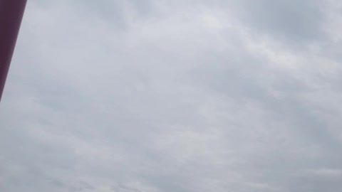 Seagulls at Beach