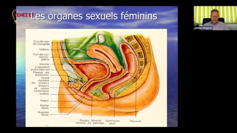 CONFÉRENCE SUR LA SANTÉ LA SEXUALITÉ DANS LA VIE DU CHRÉTIEN(NE) avec Dr Vergeres