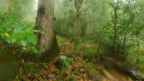 32 - Hanging Rock Mount Wolvi 31.12.2021