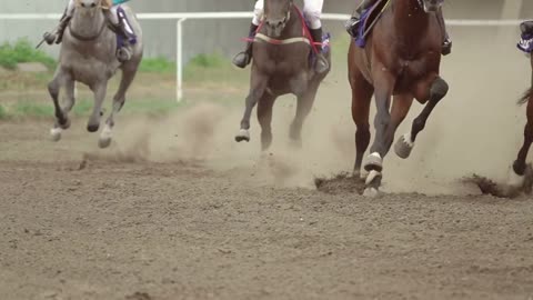 Horse Riders at the Turn of the Racetrack. Slow Motion