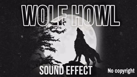 Wolf howl sound effect