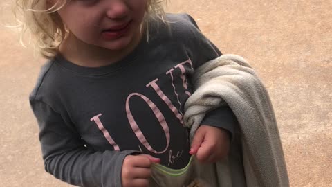 3-Year-Old Doesn't Like That the Lab Stole Her Car Seat