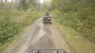 Yamaha Grizzly, we, eps, 202q