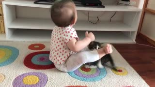 Kitten Keeps Trying To Play With Kiddo