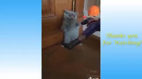 #CuteFunnyAnimals