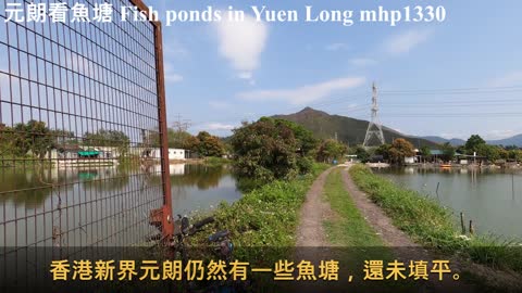 [人間天堂] 元朗看魚塘 Fish ponds in Yuen Long, Paradise on earth, mhp1330, Apr 2021