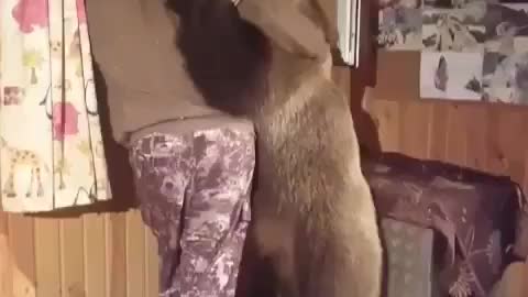 Friendly bear ever