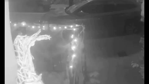 Halloween decorations get stolen outside Dublin home