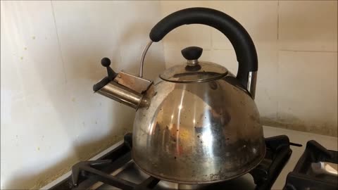 Stainless Steel Whistling Kettle