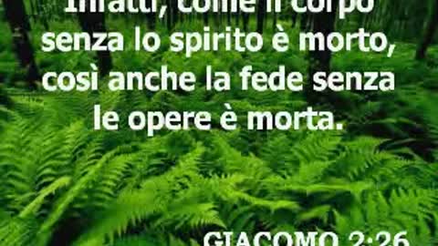 Lettera di Giacomo - Capitolo 2 Nuovo testamento- La bibbia infatti lo scrive che gli uomini sono già tutti morti spiritualmente quindi non c'è niente di strano a dire che sono solo cadaveri che camminano e parlano e basta gli esseri umani