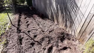 How to Prepare Soil for Planting