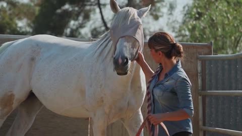 Woman Walking with Horse