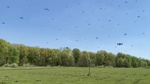 300 drones fly